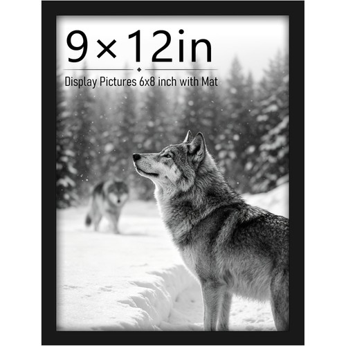 9x12 picture frame display - display, 6x8