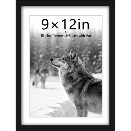 Pealsn 9x12 picture frame - picture,