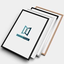 Picture Frame Modern Poster