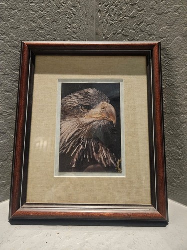 Framed eagle signed - eagle, and