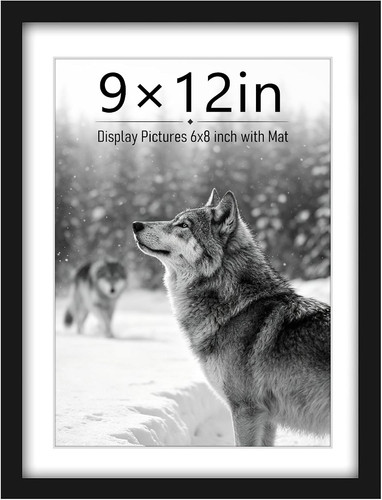 9x12 picture frame - 9x12, display