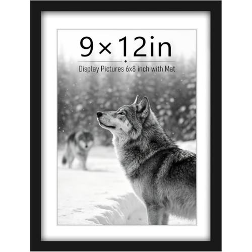 Pealsn 9x12 picture - pealsn, frame