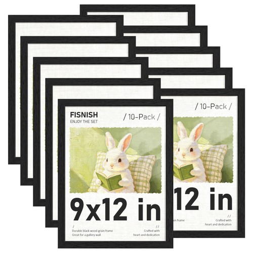 Fisnish 9x12 picture frame set - picture,